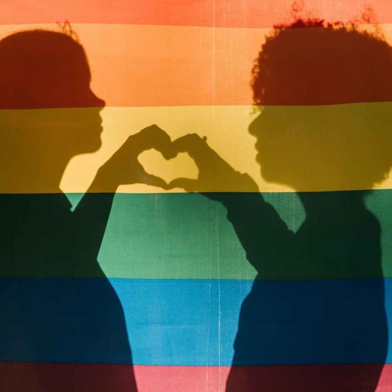 mes-pride-lgbtqia-what-the-role-of-the-company-gobots-solution-to-sell-more-in-the-american-marketplace